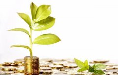 从10月金融数据看经济运行释放积极信号 金融“